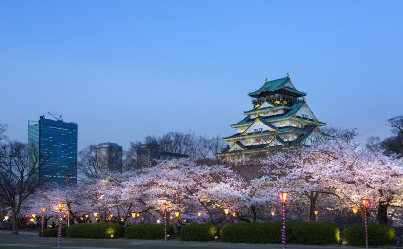 Cherry blossom in Osaka