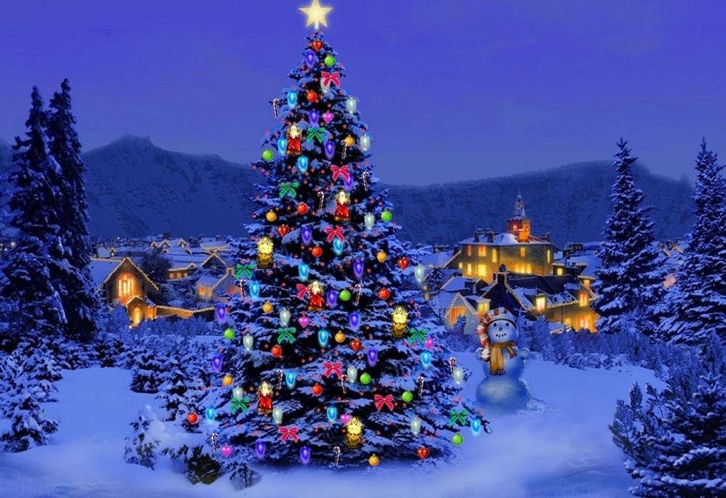 Histoire Du Sapin De Noel クリスマスツリーの歴史 Blsスクール